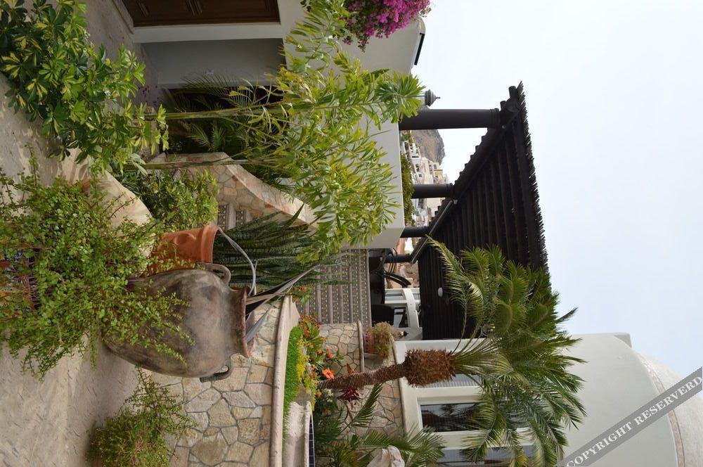 Villa Las Flores Кабо Сан Лукас Екстериор снимка